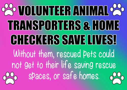 Volunteer Animal Transporters