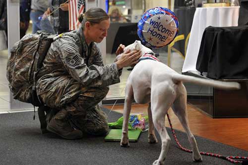 A member of the military is welcomed home by her rescued dog