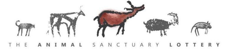 The Animal Sanctuary Lottery