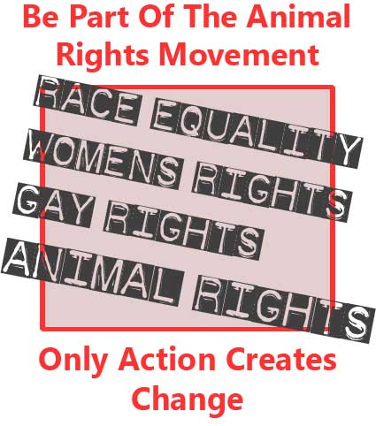 Be Part of the Animal rights Movement