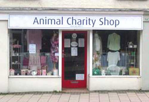 Animal charity shop