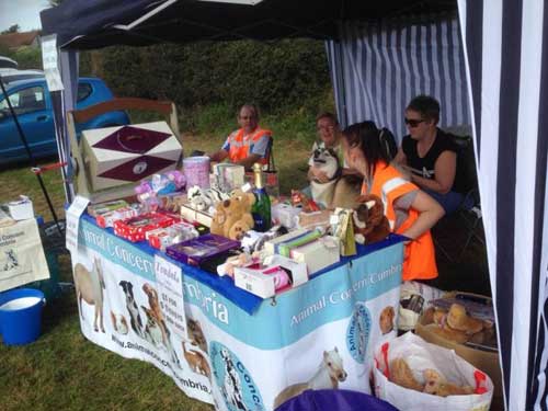 An animal charity using donated unwanted gifts as tombola prizes on a fundraising stall