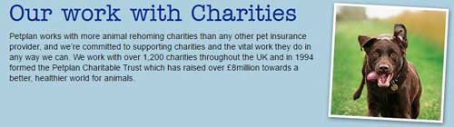 What PetPlan pet insurers say about their work with animal charities