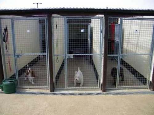 Emergency Boarding Kennels