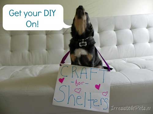 Get Your DIY On
