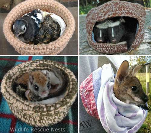 Make Life Saving Knitted Rescue Nests And Joey Pouches