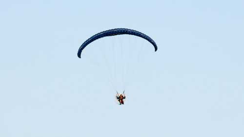 Skydiving is just one type of challenge for charity you could get sponsored to do to help save animals from suffering