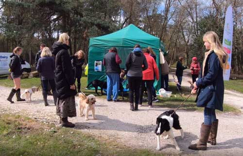 Sponsored Walk at Burnbake Lodges Dorset UK For Margaret Green Animal Rescue