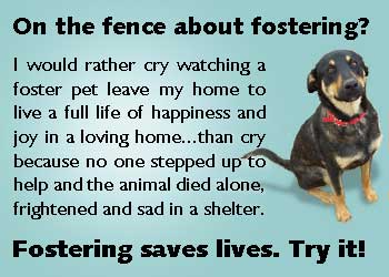 Fostering Saves Lives, Try It