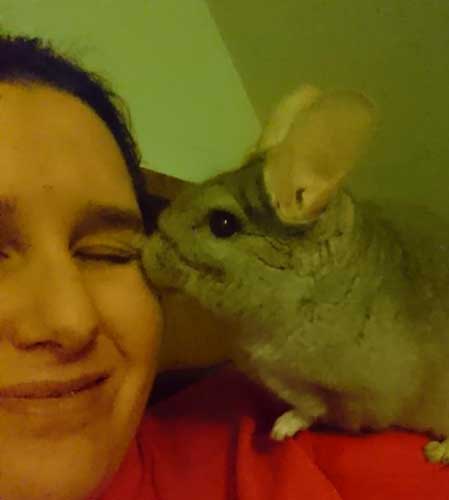 Helen Wylie with one of her adopted chinchillas