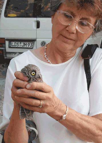 Margaret Clurow With A Rescued Owl