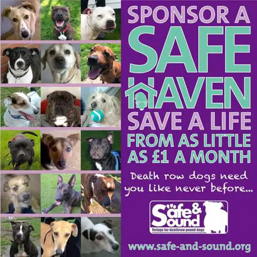 Sponsor a life-saving animal rescue space