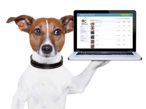 Don’t leave yourself open to accusations of fraud when running a Facebook charity fundraising page or group for animals