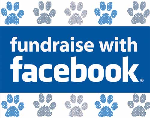 You can set up a Facebook charity fundraising group or page to help animal rescues and charities