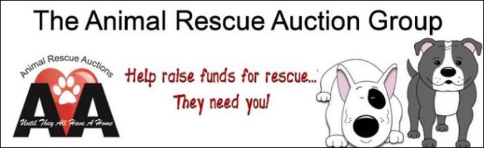 Online charity fundraising auction on Facebook, donating proceeds to different animal rescues each time.