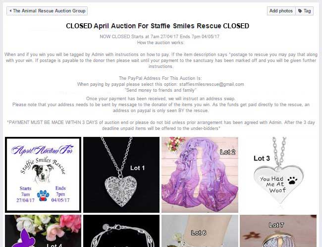 When the online charity fundraising auction has ended, it should clearly state it, as seen below