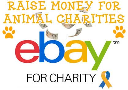 You can raise money for animal charities if you buy or sell items on eBay