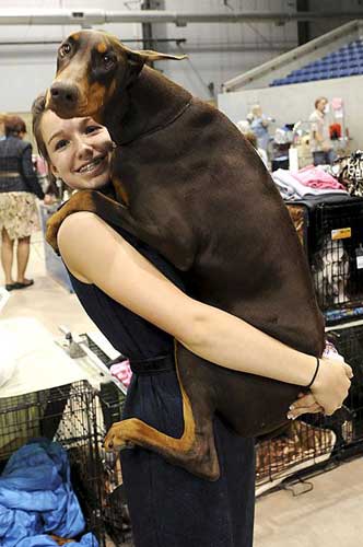 Dogs Just Want Love
