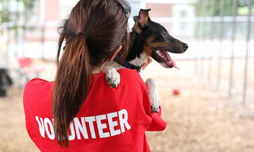 For businesses who allow staff to volunteer during work time