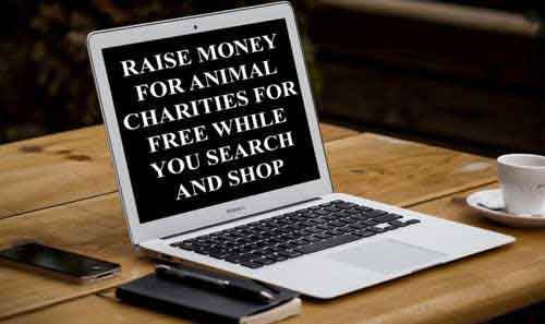 Use A Charity Search Engine To Raise Money