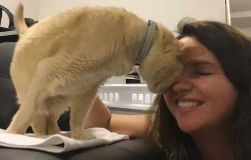 13-year-old adopted cat with new owner