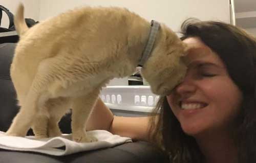 13-year-old adopted cat with new owner