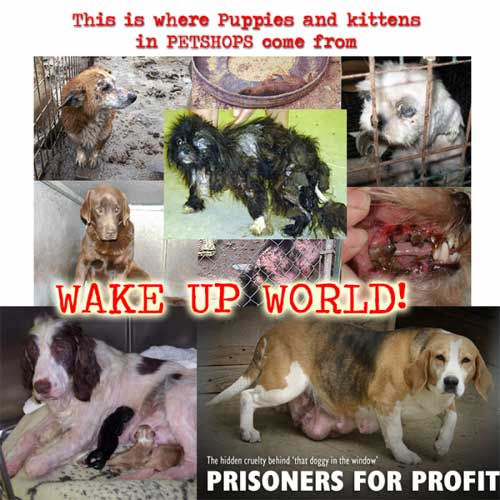 Wake up world poster
