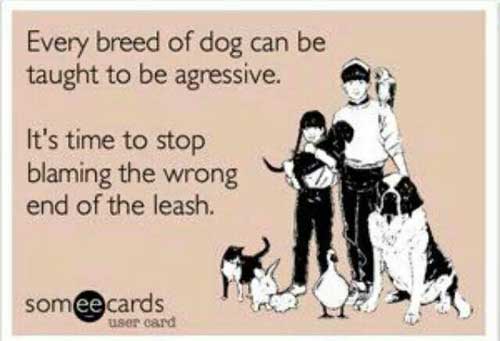 Stop blaming breeds for their behaviour